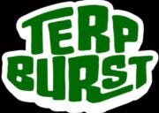 Terp Burst Gummies